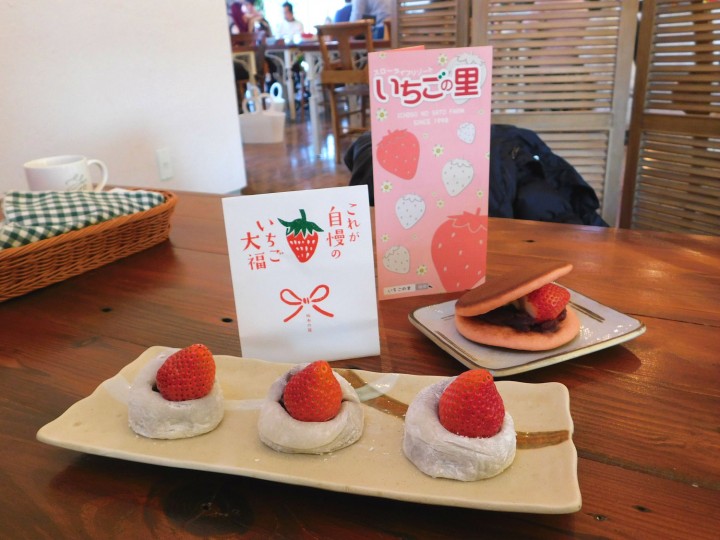 Tochigi, Surga Pecinta Stroberi di Jepang