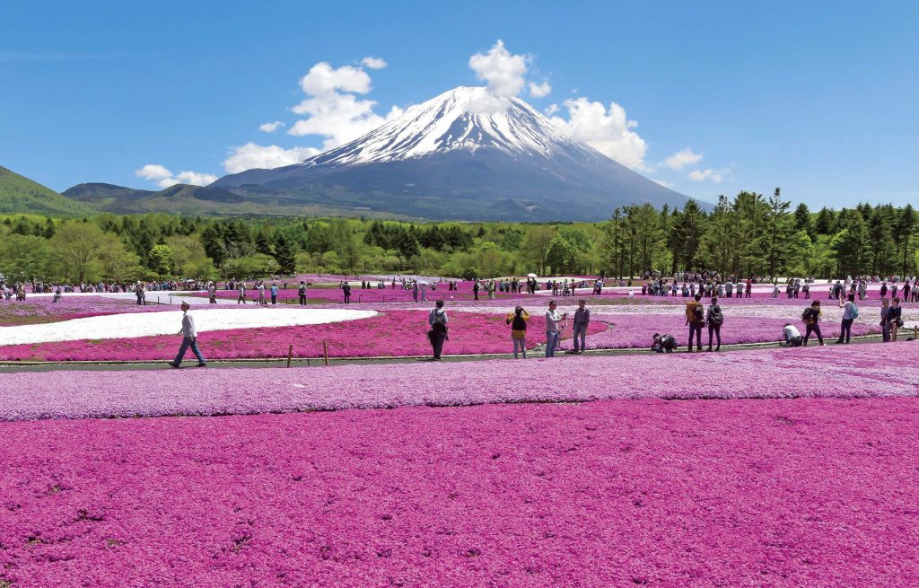 5 Situs Warisan Dunia di Jepang Yang Wajib Dikunjungi