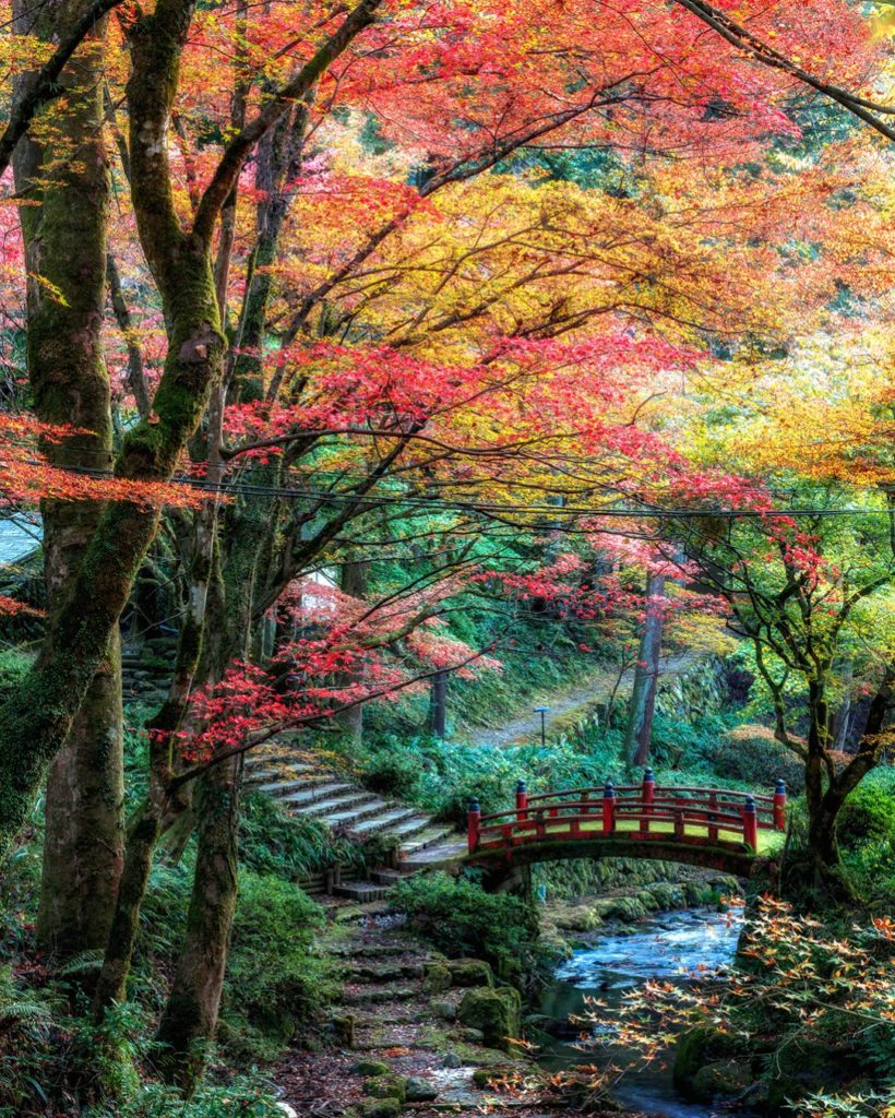 Tempat Wisata Tandingan Shirakawa-go di  Gifu, Jepang