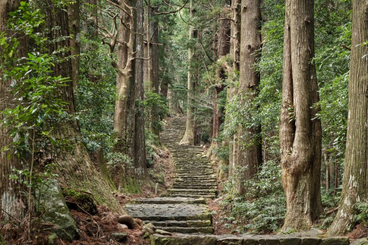 10 Pemandangan Tak Terlupakan Di Jepang