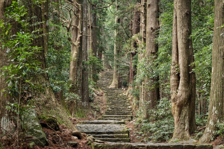 Kumano Kodo