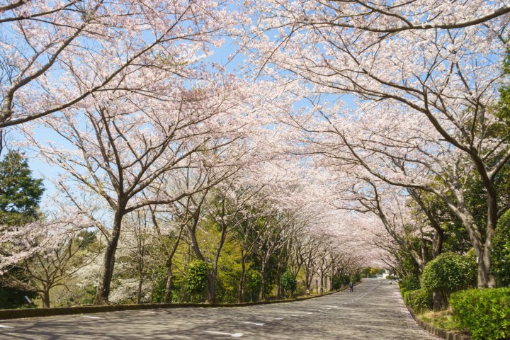 Taman Ashitaka, Prefektur Shizuoka