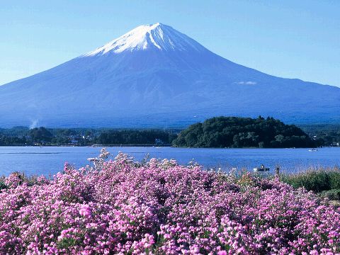 Prefektur Yamanashi, Rumah dari Gunung Fuji