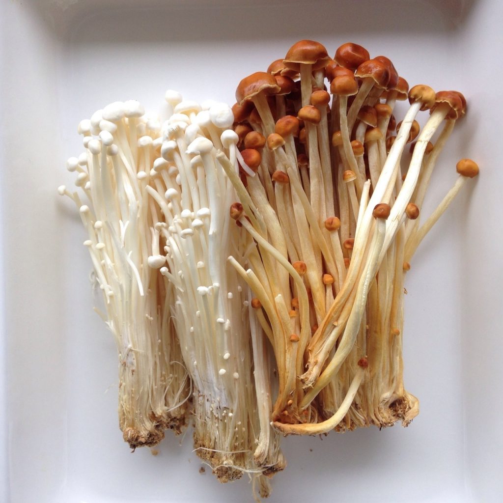 Inilah 5 Jenis Jamur di Masakan Jepang, Jangan Sampai Tertukar!
