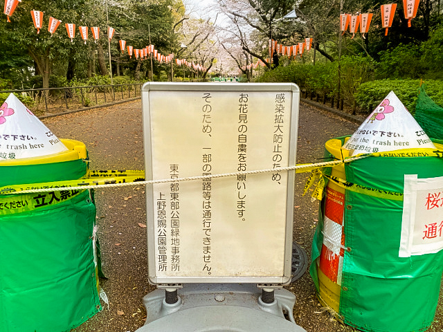 Dampak Corona Virus, Ueno Park Jadi Sepi