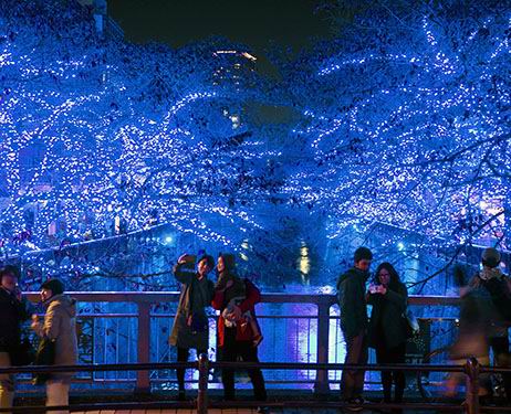 400.000 lampu LED ciptakan kembali 'Blue Grotto' Italia yang terkenal di sepanjang sungai Meguro di Tokyo