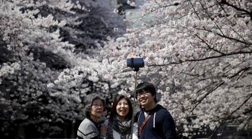 Bulan Ini, Jumlah Turis di Jepang Melonjak Tajam