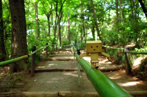 Danbo, si robot kardus mungil, akan memandu kalian ke tempat-tempat yang paling menenangkan di Jepang (4)