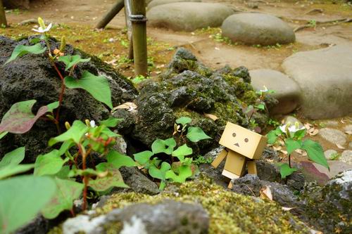 Danbo, si robot kardus mungil, akan memandu kalian ke tempat-tempat yang paling menenangkan di Jepang (5)