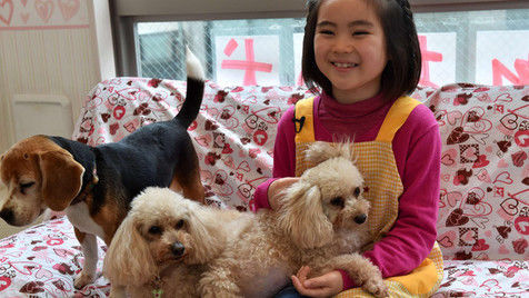 Di Jepang, Anjing Disewakan Rp 1 Juta Per Jam!