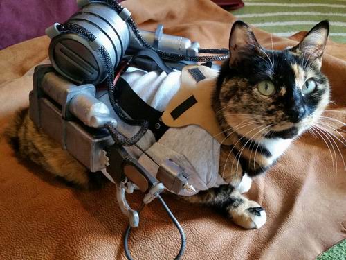 Ereneko cosplay cat (2)