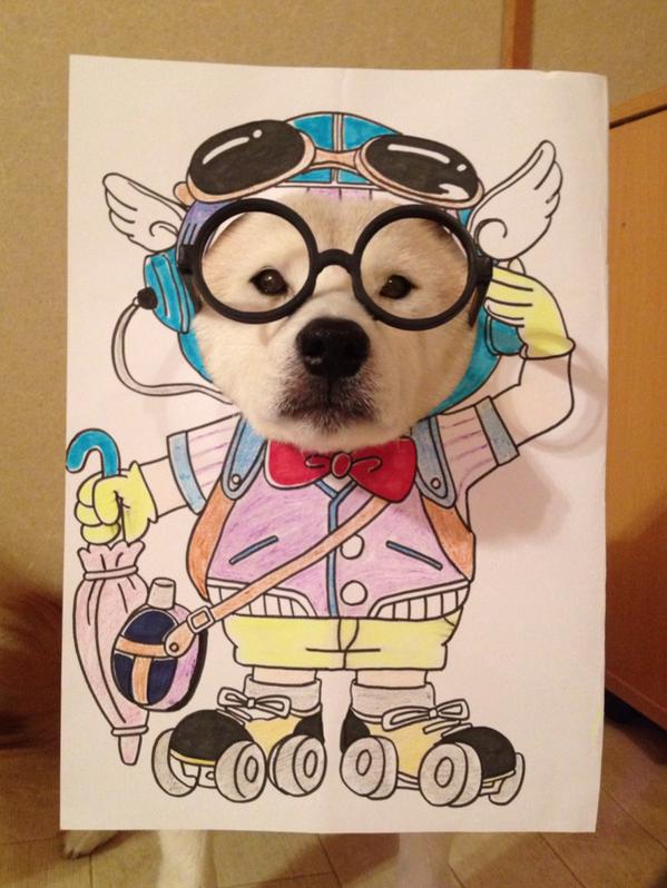 Inilah 11 cosplay yang dilakukan anjing Shiba yang lucu dan imut