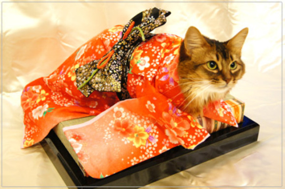 Kawaii! Selamat datang di dunia kucing-kucing yang berpakaian kimono!