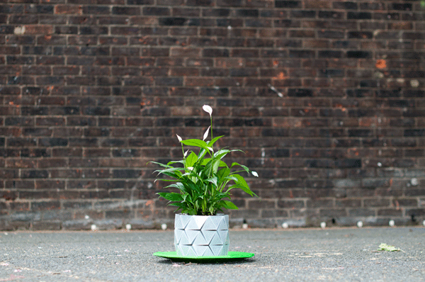Keren! Pot 'Origami  yang dapat berubah bentuk ini akan tumbuh dengan tanaman di dalamnya! (1)