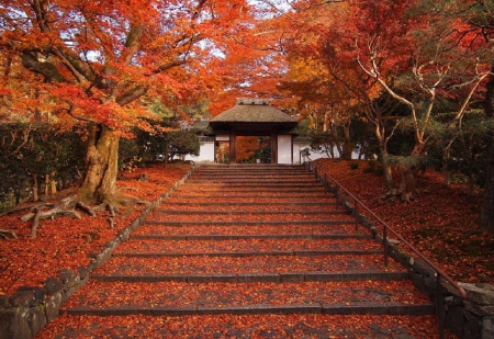 Kuil-Cantik-di-Jepang (5)
