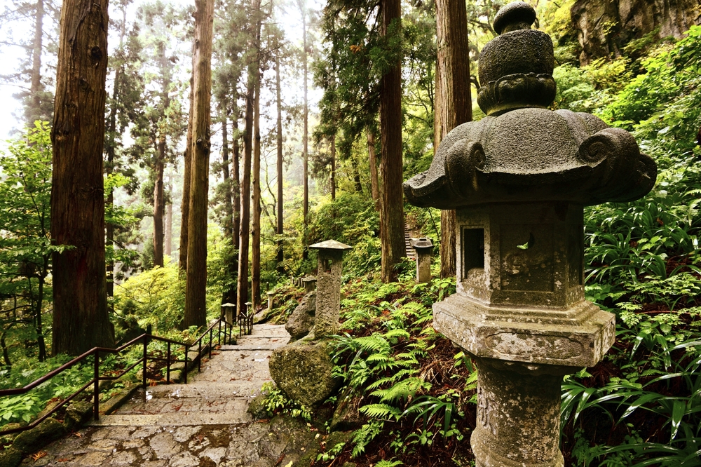 Mengintip Keindahan Hutan Cantik di Tohoku, Jepang