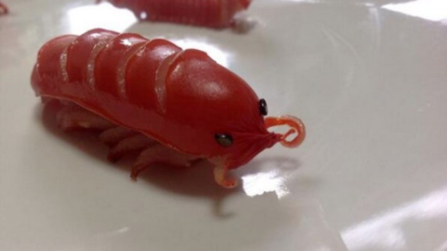 Netizen Jepang Ajarkan Cara Membuat Sosis Berbentuk Isopoda (1)