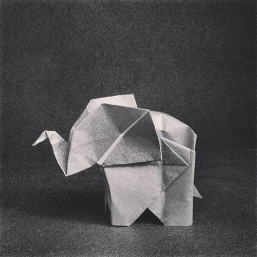 Origami-ross symons (9)