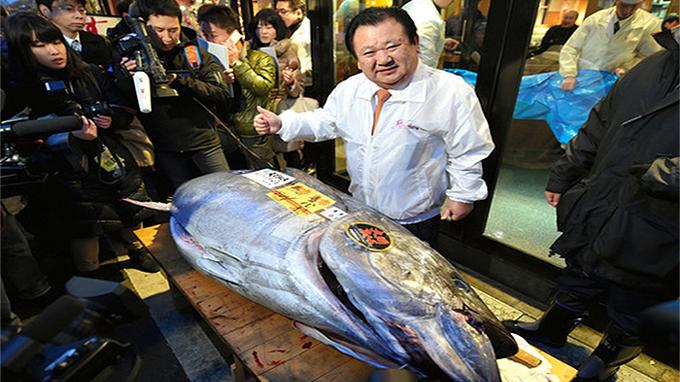 Pemilik Toko Sushi Beli Seekor Ikan Tuna Seharga 4,51 Juta Yen