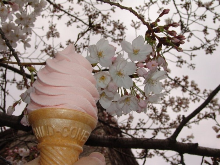 Restoran Jepang Ciptakan Kuliner Spesial Sakura