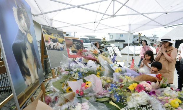 Sebanyak 3000 orang menghadiri pemakaman Tama, kucing penjaga stasiun di Jepang