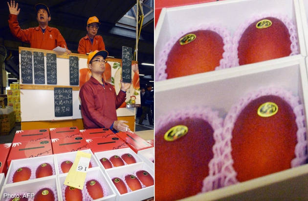 Seorang pria di Jepang membeli sepasang buah mangga seharga 300.000 yen