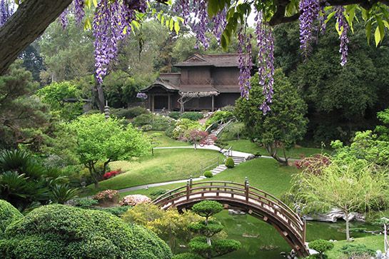 Taman Kyoto akan menampilkan berbagai tanaman yang terancam punah
