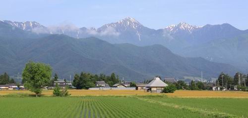Taue, musim menanam padi di Jepang (1)