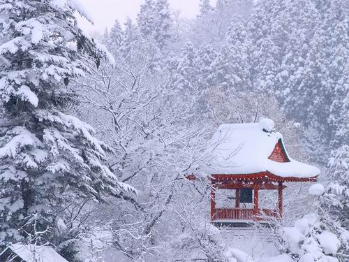 Tips Seputar Pakaian Musim Dingin di Jepang