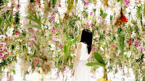 Wah, taman bunga bergantungan yang mempesona ini akan bergerak saat kalian berjalan melewatinya! (3)