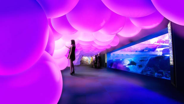 Wow! teamLab menciptakan akuarium interaktif, Night Wonder Aquarium 2015! (3)