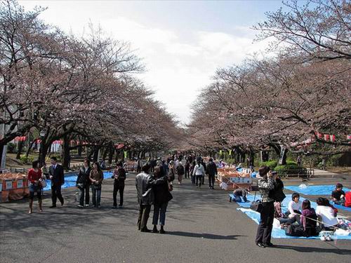 Yuk, Kunjungi Jepang di Hari Kasih Sayang (1)