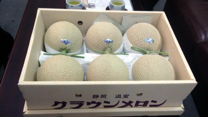 Rumitnya Merawat Melon Paling Enak di Jepang