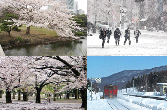 Ke Jepang, Lihat Dulu Musim Apa?