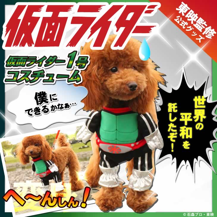 kamen rider dog costume (1)