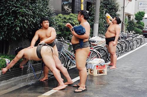 Kehidupan Sehari-hari Pegulat Sumo di Jepang