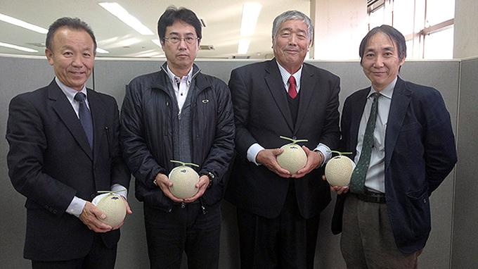 Melon Jepang Seharga Rp 880 Ribu Ini Dinamakan Yamato