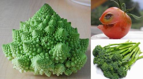 sayuran aneh jepang